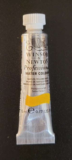 Artist's Watercolors Paint by Winsor & Newton