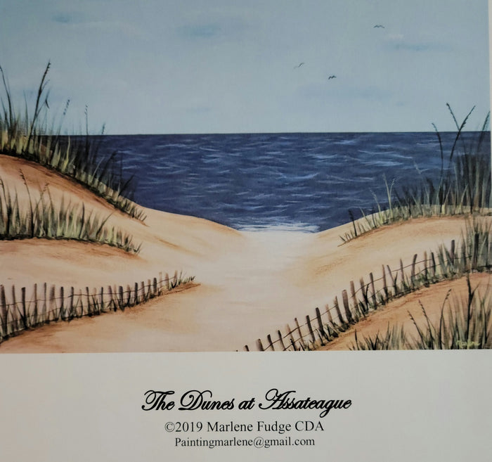 The Dunes at Assateague packet by Marlene Fudge